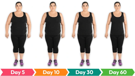 Lipofit Weight Loss Supplement